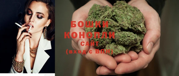 индика Беслан