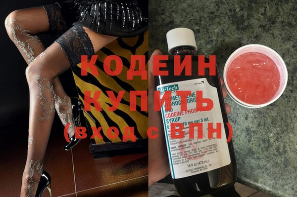 индика Беслан